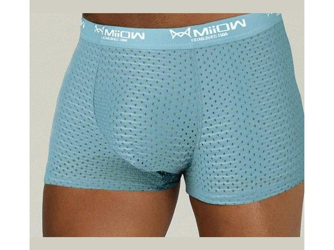 sky blue Gay Mesh Boxer Briefs: Mens Transparent Boxers & Boxer Mesh- pridevoyageshop.com - gay men’s underwear and swimwear