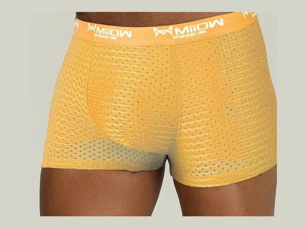 yellow Gay Mesh Boxer Briefs: Mens Transparent Boxers & Boxer Mesh- pridevoyageshop.com - gay men’s underwear and swimwear