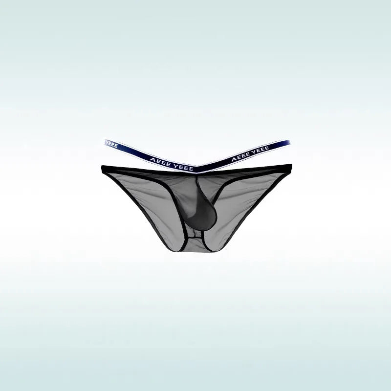 Black Men’s “Cocky Sheer” Pouch Brief - pridevoyageshop.com - gay men’s thongs, boxers, briefs and jockstraps