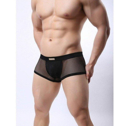 hot gay man in black Mesh See Through Underwear Boxer Briefs | Gay Underwear- pridevoyageshop.com - gay men’s underwear and swimwear