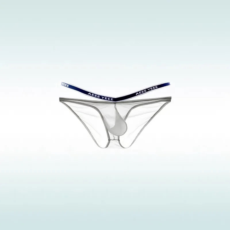 Gray Men’s “Cocky Sheer” Pouch Brief - pridevoyageshop.com - gay men’s thongs, boxers, briefs and jockstraps