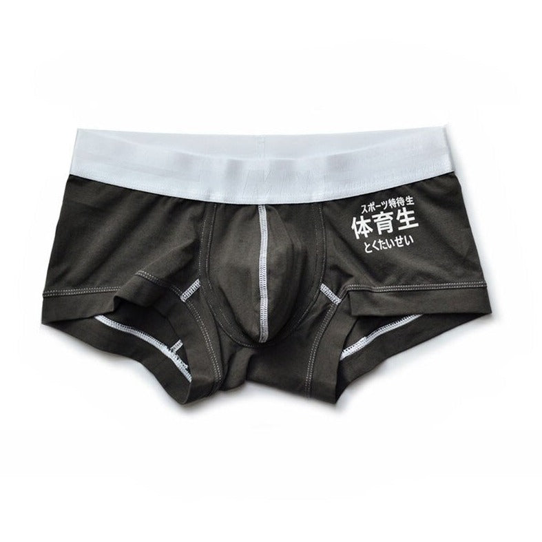 auburn Japanese style Low Rise Sport Boxer Briefs | Gay Underwear- pridevoyageshop.com - gay men’s underwear and swimwear