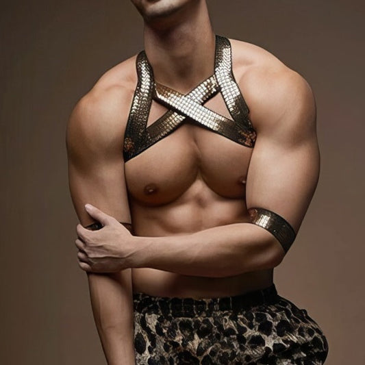 CLEVER-MENMODE Mens Shiny Gold Chest Harness - PrideVoyage