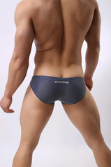 a hot gay man in Royal blue Brave Person Men's Breathable Mesh Briefs - pridevoyageshop.com - gay men’s underwear and swimwear