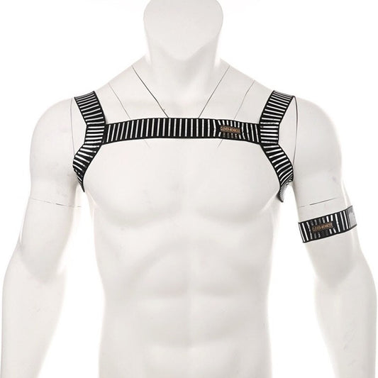 Pharaoh's Pleasure Metallic Chest Harness | Gay Harness- pridevoyageshop.com - gay men’s harness, lingerie and fetish wear