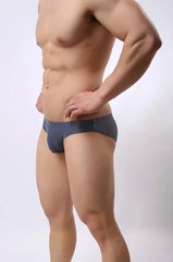 a hot gay man in Royal blue Brave Person Men's Breathable Mesh Briefs - pridevoyageshop.com - gay men’s underwear and swimwear