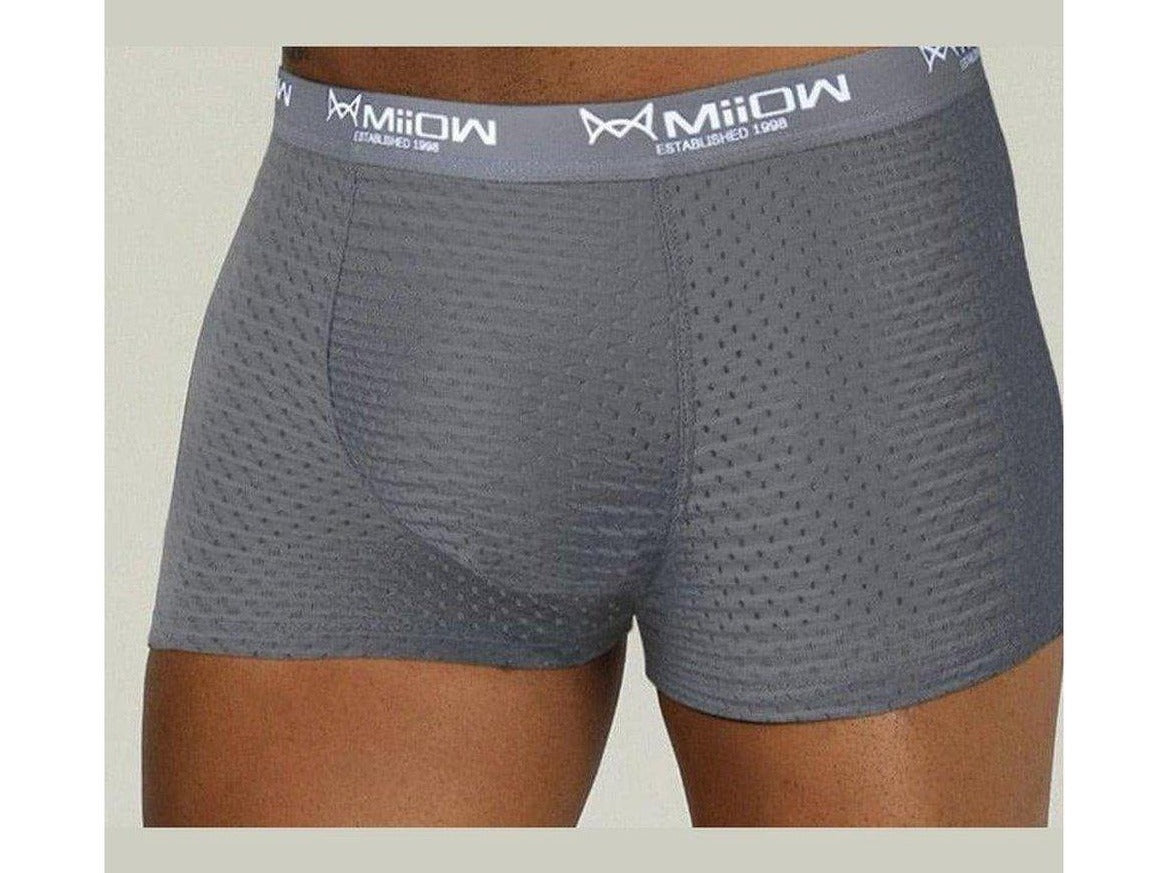 gray Gay Mesh Boxer Briefs: Mens Transparent Boxers & Boxer Mesh- pridevoyageshop.com - gay men’s underwear and swimwear