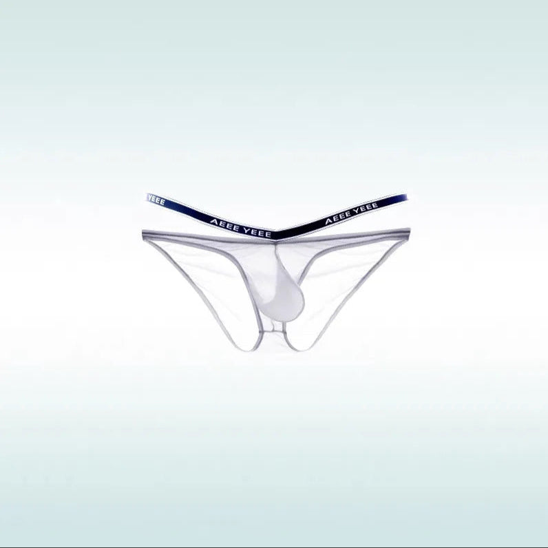 White Men’s “Cocky Sheer” Pouch Brief - pridevoyageshop.com - gay men’s thongs, boxers, briefs and jockstraps