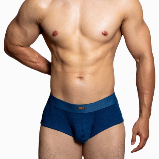a hot man in blue DM Pose Boxer Briefs - pridevoyageshop.com - gay men’s thongs, boxers, briefs and jockstraps
