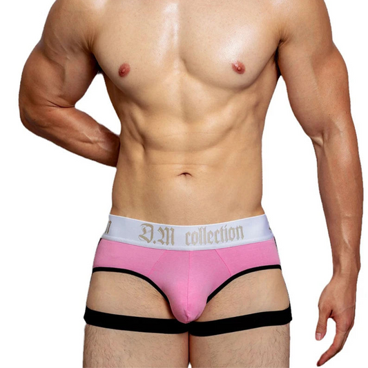a hot man in pink Men’s D.M. Garter Briefs - pridevoyageshop.com - gay men’s thongs, boxers, briefs and jockstraps