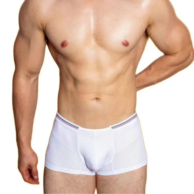 a hot man in white Sinfully Sheer Boxer - pridevoyageshop.com - gay men’s thongs, boxers, briefs and jockstraps