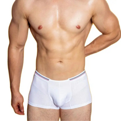 a hot man in white Sinfully Sheer Boxer - pridevoyageshop.com - gay men’s thongs, boxers, briefs and jockstraps