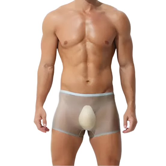 a sex man in gray Men’s Ultra Sheer Big Bulge Boxers - pridevoyageshop.com - gay men’s thongs, boxers, briefs and jockstraps