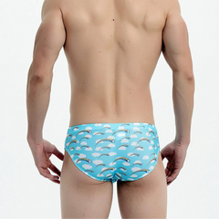 a sexy man in Men's Rainbow Stars Swim Briefs - pridevoyageshop.com - gay men’s sexy swim briefs, trunks, board shorts, and bikinis