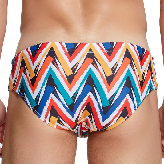 a sexy man in Men’s Zigzag Zaddy Swim Briefs - pridevoyageshop.com - gay men’s sexy swim briefs, trunks, board shorts, and bikinis