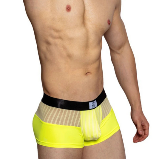 a sexy man in Neon Green Men’s Designer Striped Sheer Mesh Boxer Brief - pridevoyageshop.com - gay men’s thongs, boxers, briefs and jockstraps