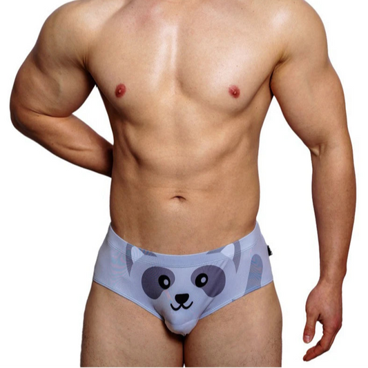a sexy man in Raccoon DM Men’s Cute Fantasy Briefs - pridevoyageshop.com - gay men’s thongs, boxers, briefs and jockstraps