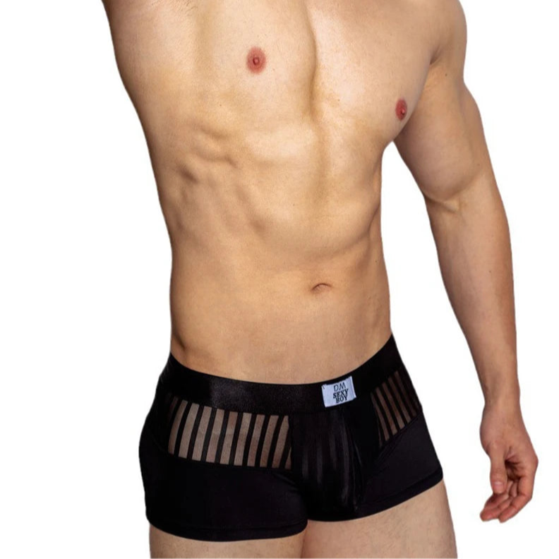 a sexy man in black Men’s Designer Striped Sheer Mesh Boxer Brief - pridevoyageshop.com - gay men’s thongs, boxers, briefs and jockstraps
