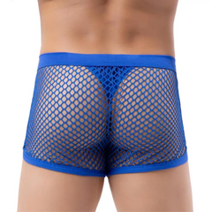 a sexy man in blue Mesh Daddy Boxers - pridevoyageshop.com - gay men’s thongs, boxers, briefs and jockstraps