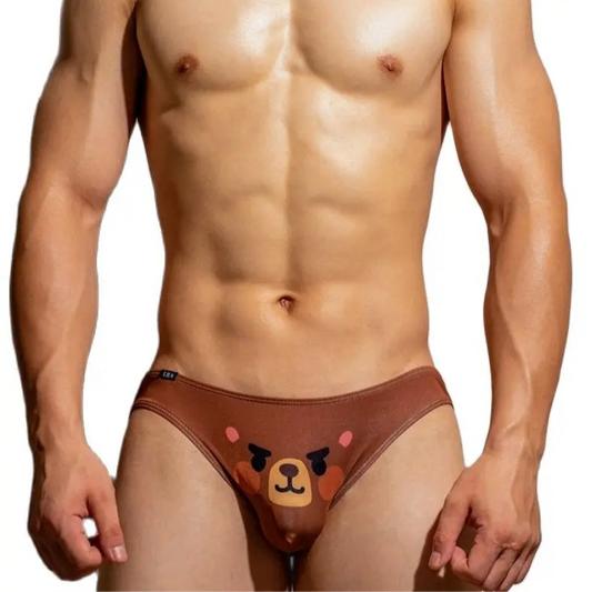 a sexy man in brown DM Men’s Bear Tease Briefs - pridevoyageshop.com - gay men’s thongs, boxers, briefs and jockstraps