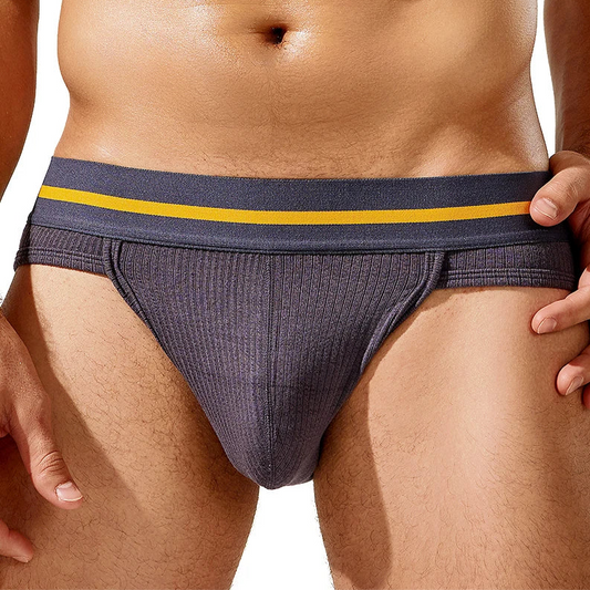 a sexy man in dark gray TAUWELL Men’s Pride-Banded Ribbed Briefs - pridevoyageshop.com - gay men’s thongs, boxers, briefs and jockstraps