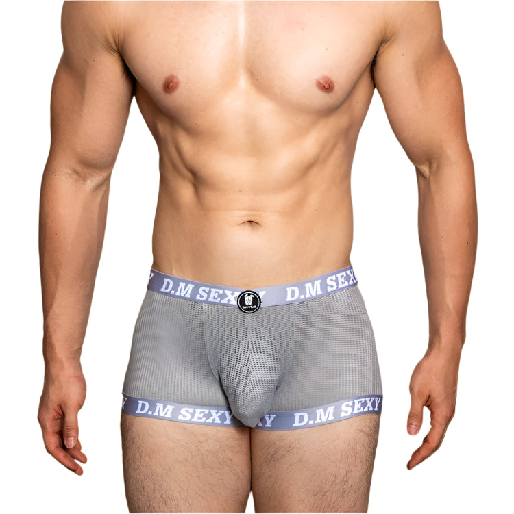 a sexy man in gray D.M SEXY Mesh Boxers - pridevoyageshop.com - gay men’s thongs, boxers, briefs and jockstraps