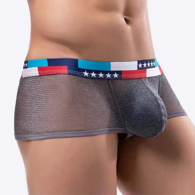 a sexy man in gray Men's Star-Spangled Sparkle Sheer Boxers - pridevoyageshop.com - gay men’s thongs, boxers, briefs and jockstraps