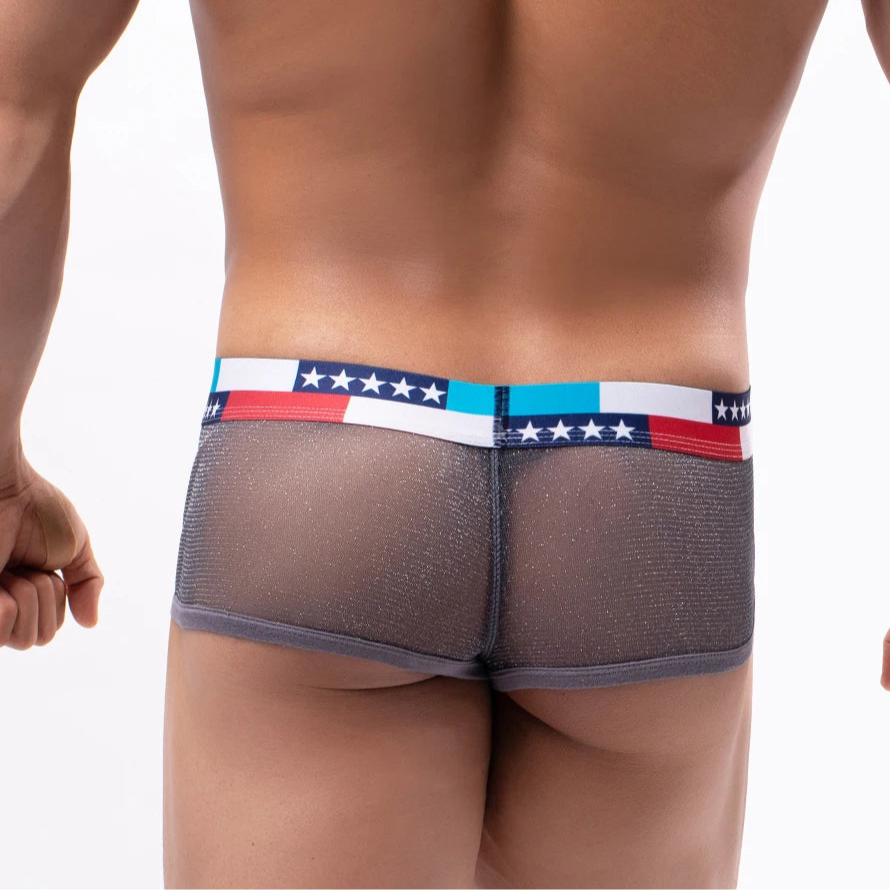 a sexy man in gray Men's Star-Spangled Sparkle Sheer Boxers - pridevoyageshop.com - gay men’s thongs, boxers, briefs and jockstraps