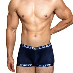a sexy man in navy blue D.M SEXY Mesh Boxers - pridevoyageshop.com - gay men’s thongs, boxers, briefs and jockstraps
