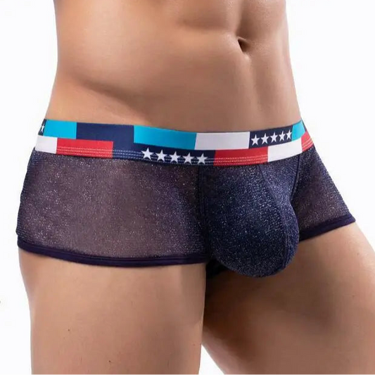 a sexy man in navy blue Men's Star-Spangled Sparkle Sheer Boxers - pridevoyageshop.com - gay men’s thongs, boxers, briefs and jockstraps