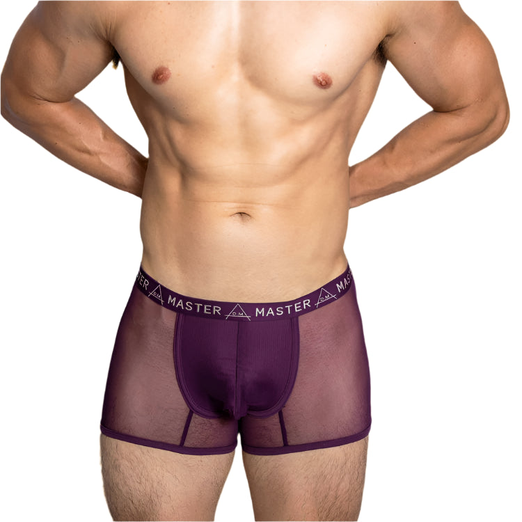a sexy man in purple DM Peepshow Master Boxer Briefs - pridevoyageshop.com - gay men’s thongs, boxers, briefs and jockstraps