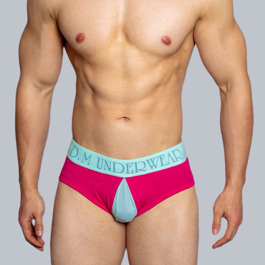 a sexy man in rose DM Men’s Color Clash Mesh Peephole Briefs - pridevoyageshop.com - gay men’s thongs, boxers, briefs and jockstraps