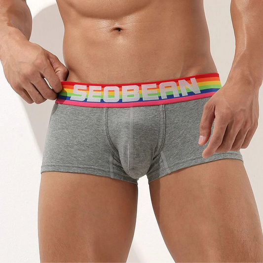 a sey man in light gray SEOBEAN Men’s Pride-Banded Bulge Boxers - pridevoyageshop.com - gay men’s thongs, boxers, briefs and jockstraps