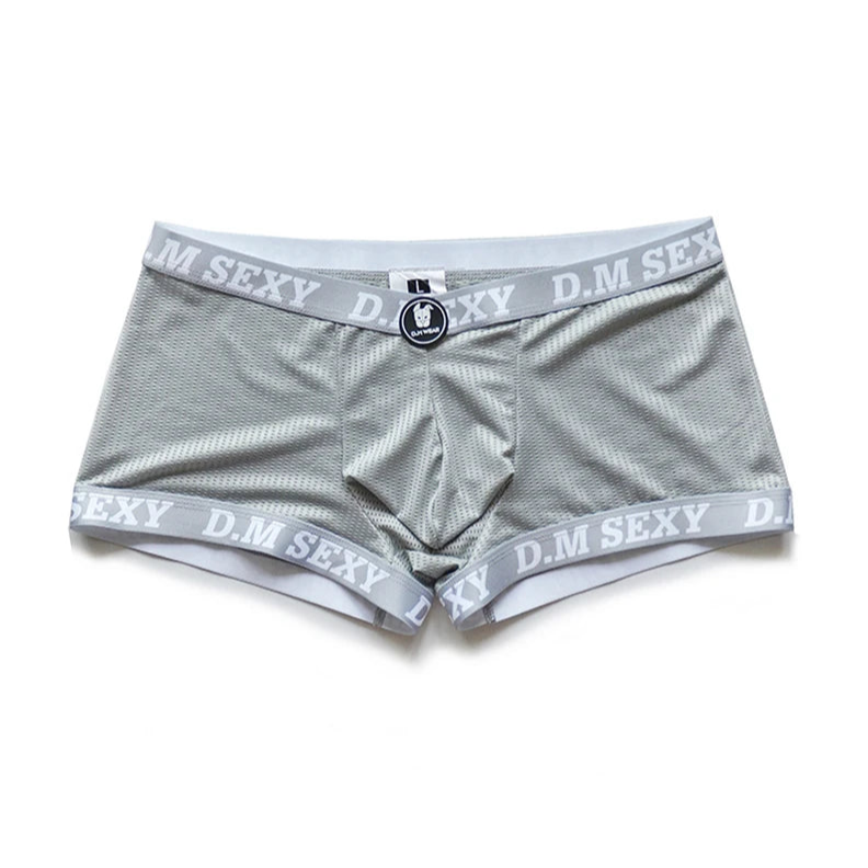 agray D.M SEXY Mesh Boxers - pridevoyageshop.com - gay men’s thongs, boxers, briefs and jockstraps