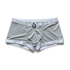 agray D.M SEXY Mesh Boxers - pridevoyageshop.com - gay men’s thongs, boxers, briefs and jockstraps