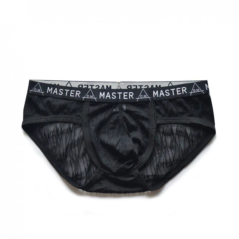 black DM Men’s Master Sheer Lace Brief - pridevoyageshop.com - gay men’s thongs, boxers, briefs and jockstraps