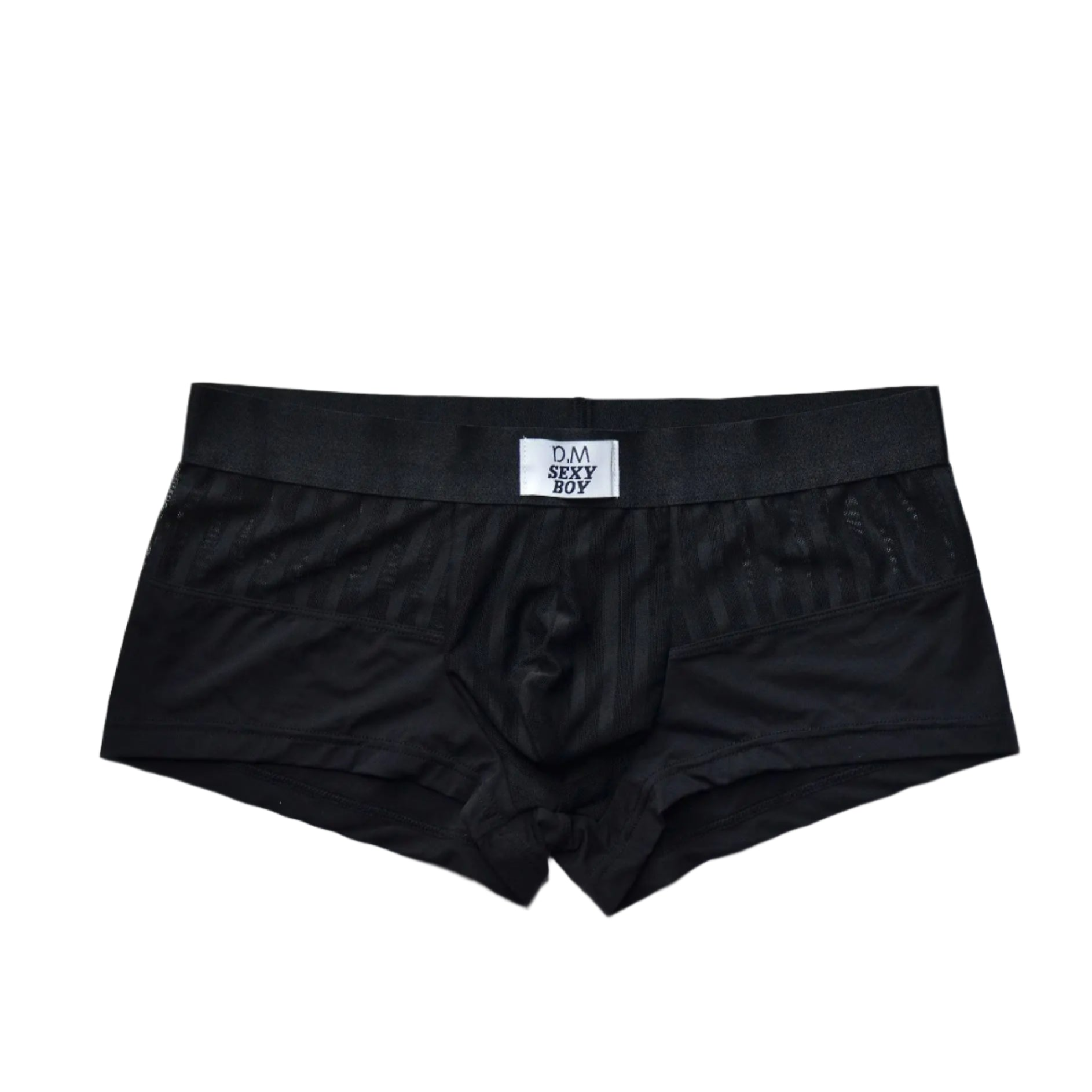 black Men’s Designer Striped Sheer Mesh Boxer Brief - pridevoyageshop.com - gay men’s thongs, boxers, briefs and jockstraps