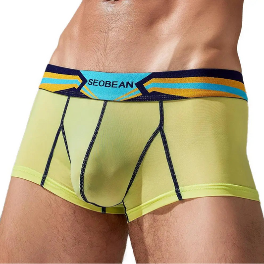 light green SEOBEAN Spectrum Boxer Briefs - pridevoyageshop.com - gay men’s thongs, boxers, briefs and jockstraps