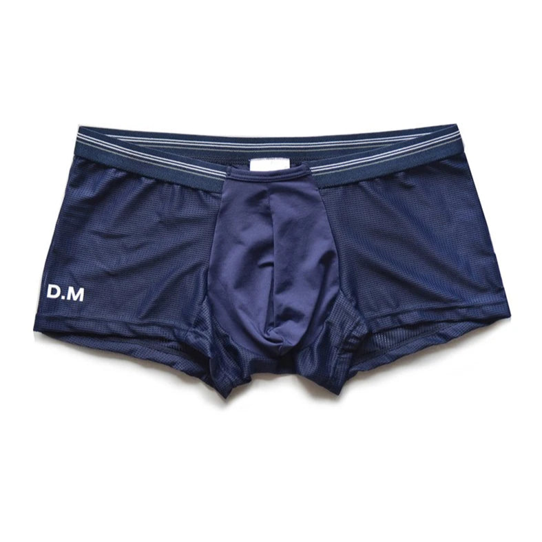 navy blue Sinfully Sheer Boxer - pridevoyageshop.com - gay men’s thongs, boxers, briefs and jockstraps