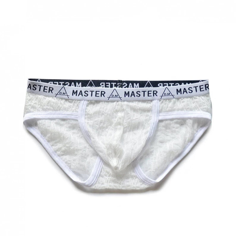 white DM Men’s Master Sheer Lace Brief - pridevoyageshop.com - gay men’s thongs, boxers, briefs and jockstraps