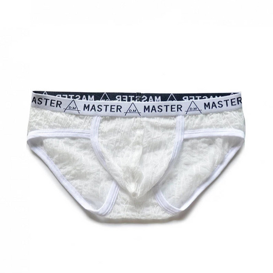 white DM Men’s Master Sheer Lace Brief - pridevoyageshop.com - gay men’s thongs, boxers, briefs and jockstraps
