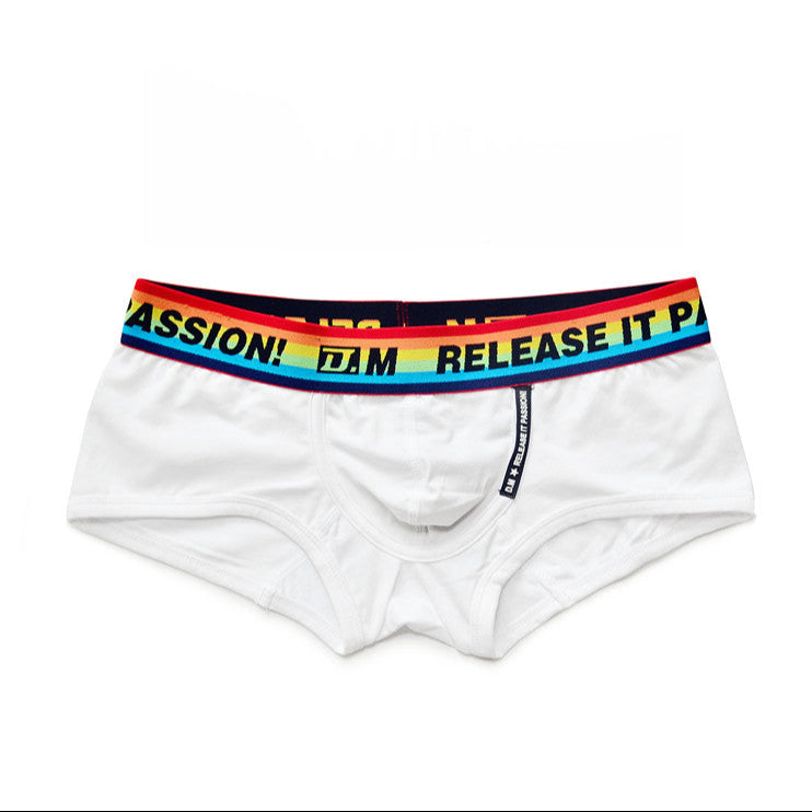 white DM Men’s Pride Release It Passion Rainbow Brief - pridevoyageshop.com - gay men’s thongs, boxers, briefs and jockstraps