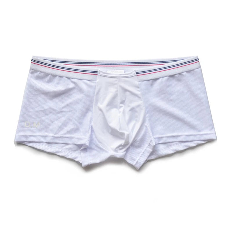 white Sinfully Sheer Boxer - pridevoyageshop.com - gay men’s thongs, boxers, briefs and jockstraps