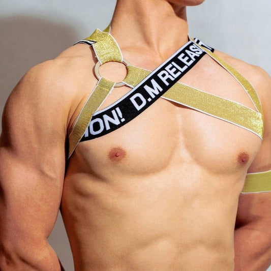 sexy gay man in gold DM Release Shimmer Chest Harness | Gay Harness- pridevoyageshop.com - gay men’s harness, lingerie and fetish wear