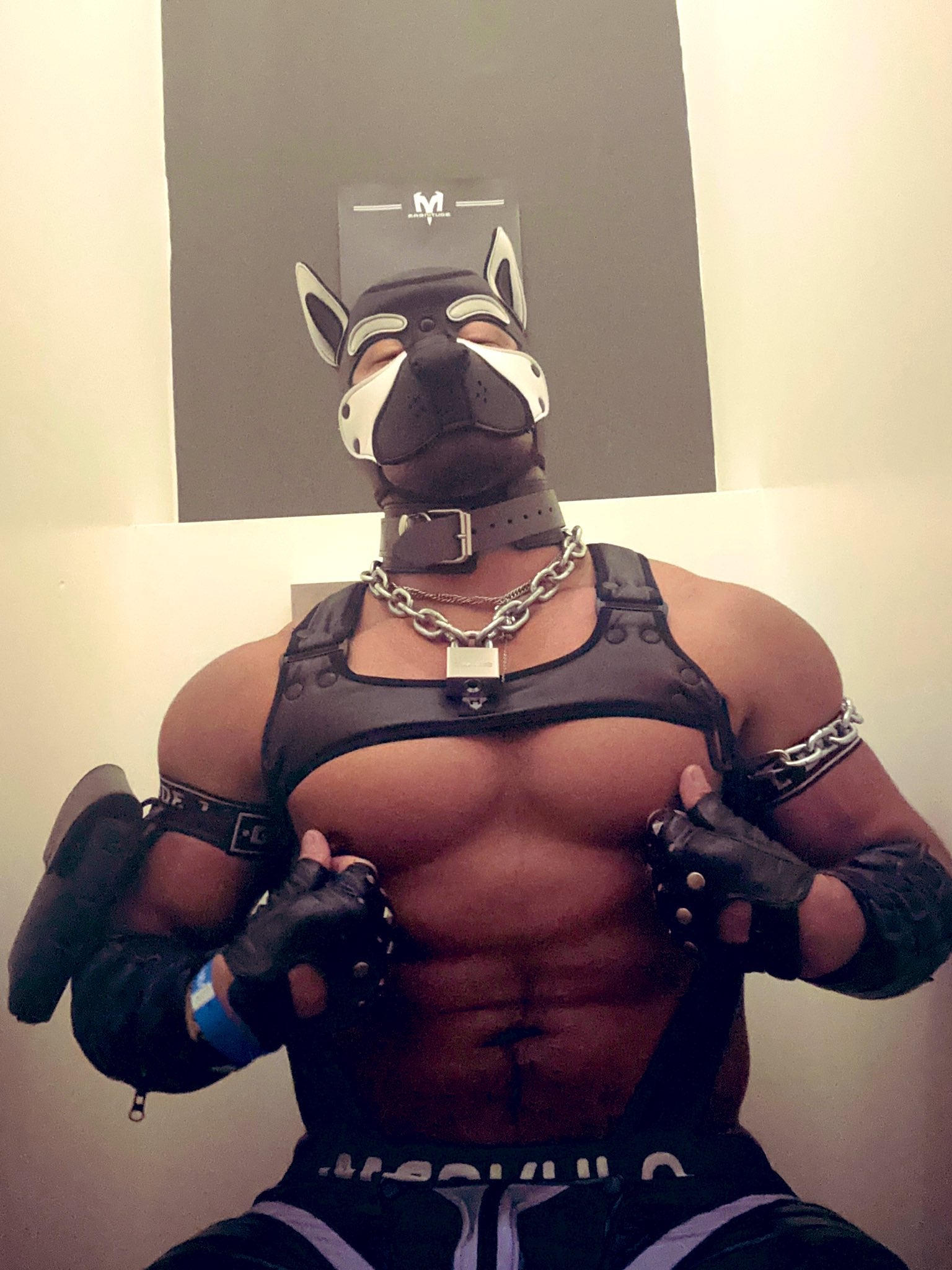 a sexy gay man in Puppy Play gear at Pride Voyage Shop