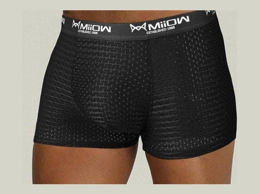 black Gay Mesh Boxer Briefs: Mens Transparent Boxers & Boxer Mesh- pridevoyageshop.com - gay men’s underwear and swimwear