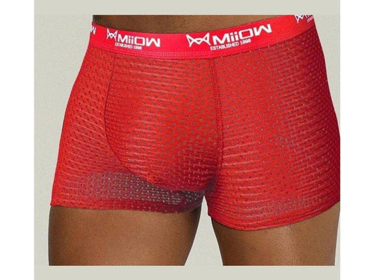 red Gay Mesh Boxer Briefs: Mens Transparent Boxers & Boxer Mesh- pridevoyageshop.com - gay men’s underwear and swimwear