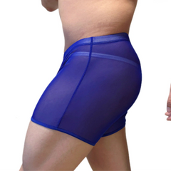 A sexy man in blue Pink Men’s See-Through Mesh Male Power Show Boxers - pridevoyageshop.com - gay men’s thongs, boxers, briefs and jockstraps