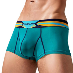 Dark green SEOBEAN Spectrum Boxer Briefs - pridevoyageshop.com - gay men’s thongs, boxers, briefs and jockstraps