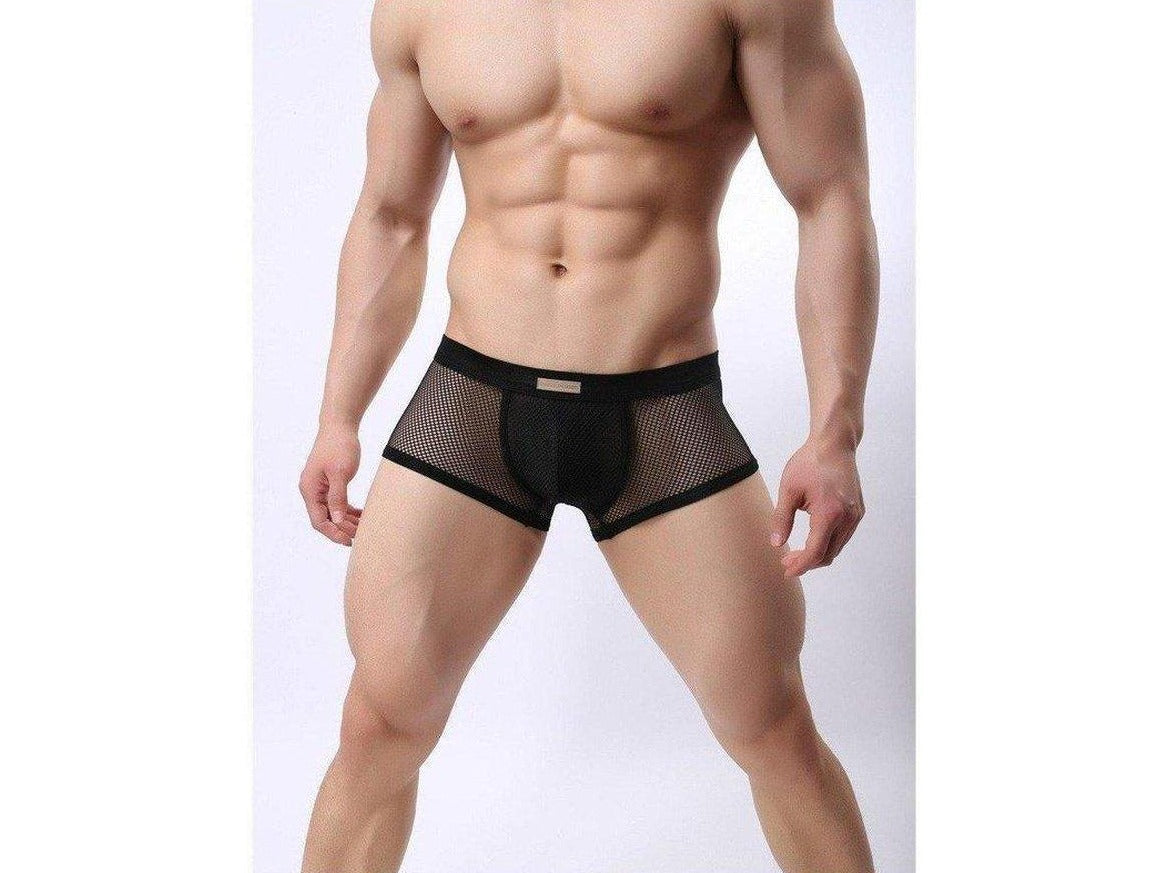 hot gay man in black Mesh See Through Underwear Boxer Briefs | Gay Underwear- pridevoyageshop.com - gay men’s underwear and swimwear